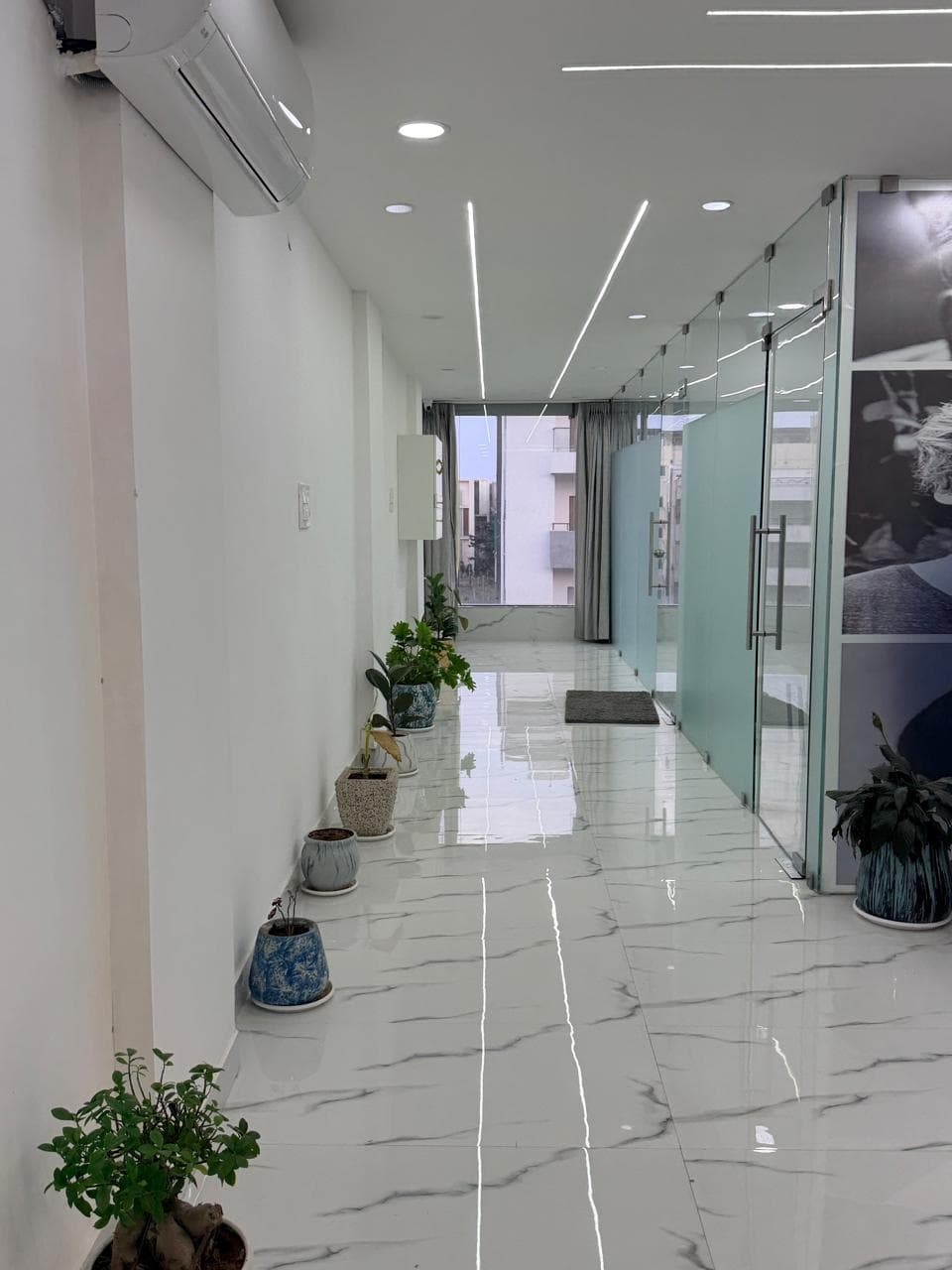 Vanya Dental Hallway with Indoor Plants